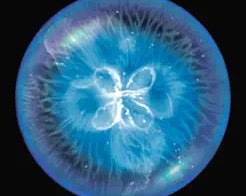 10 самых психоделических игр для iPhone и iPad